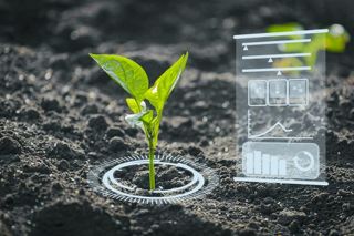 „Adat-falat” – Az élelmiszeripar adatszintű kihívásai